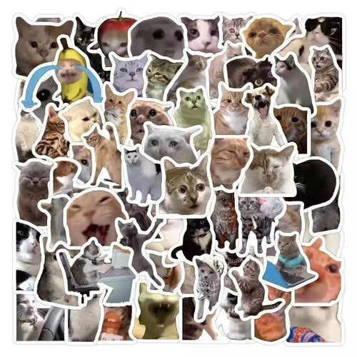 Funny Cat Meme Self-adhesive Stickers Hilarious Kitten Emojia Decals Prank Joke Graffiti