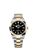 Explorer, 18k Yellow Gold and Stainless steel, 36mm, Ref# 124273-0001, 2024