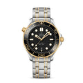Seamaster DIVER 300M CO‑AXIAL MASTER CHRONOMETER Ref# 210.20.42.20.01.002