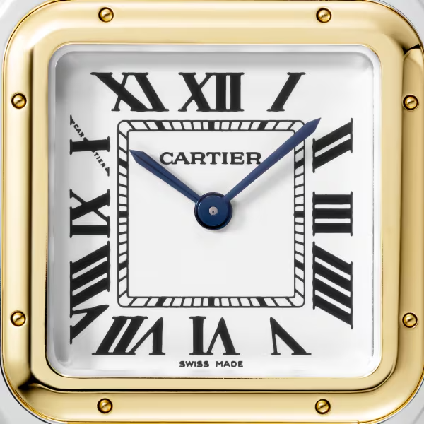 Unworn Panthère de, Stainless Steel, 18k Yellow Gold, 29mm x 37mm, Ref# W2PN0007, box and papers