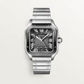 Unworn Santos de, Stainless Steel, 39.8mm, Ref# WSSA0037, box and papers
