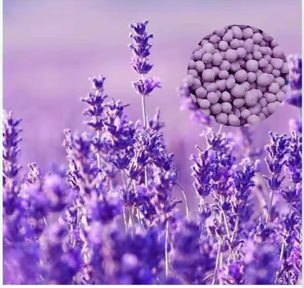 25kg Lavender Scent Booster Beads-Long-lasting Antibacterial Softener 5%-15% Active