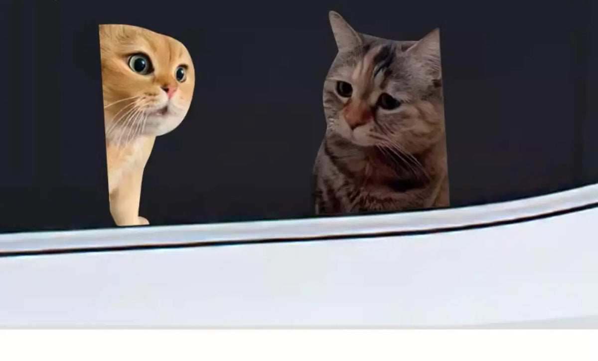 Reusable PVC Funny Meme Cat Stickers for Luggage and Cars, 10 cm - image 6