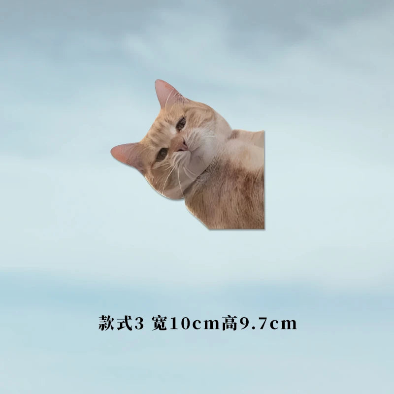 Reusable PVC Funny Meme Cat Stickers for Luggage and Cars, 10 cm - image 9