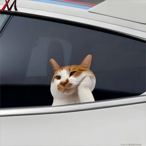 Creative Personaliti Cute Funny Meme Cat Notebook Luggage Car Stickers Reusable PVC