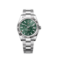 Sky-Dweller, 42mm, Oystersteel and 18k White Gold, Green, Oyster, Ref# 336934-0001