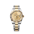 Sky-Dweller, 42mm, Oystersteel and 18k Yellow Gold, Champagne, Oyster, Ref# 336933-0001