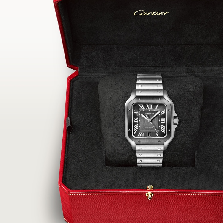 Unworn Santos de, Stainless Steel, 39.8mm, Ref# WSSA0037, box and papers