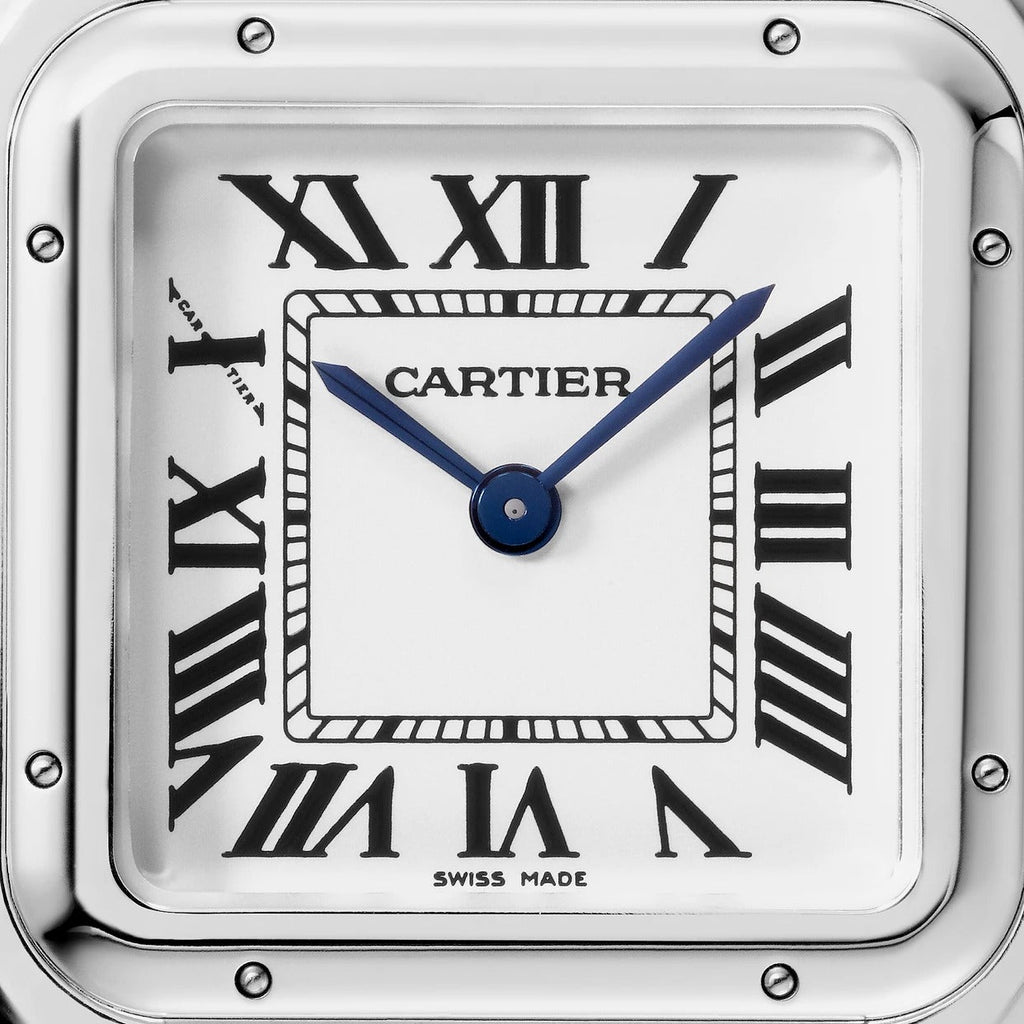 Unworn Panthère de Medium, Stainless Steel, 27mm x 37mm, Ref# WSPN0015, box and papers