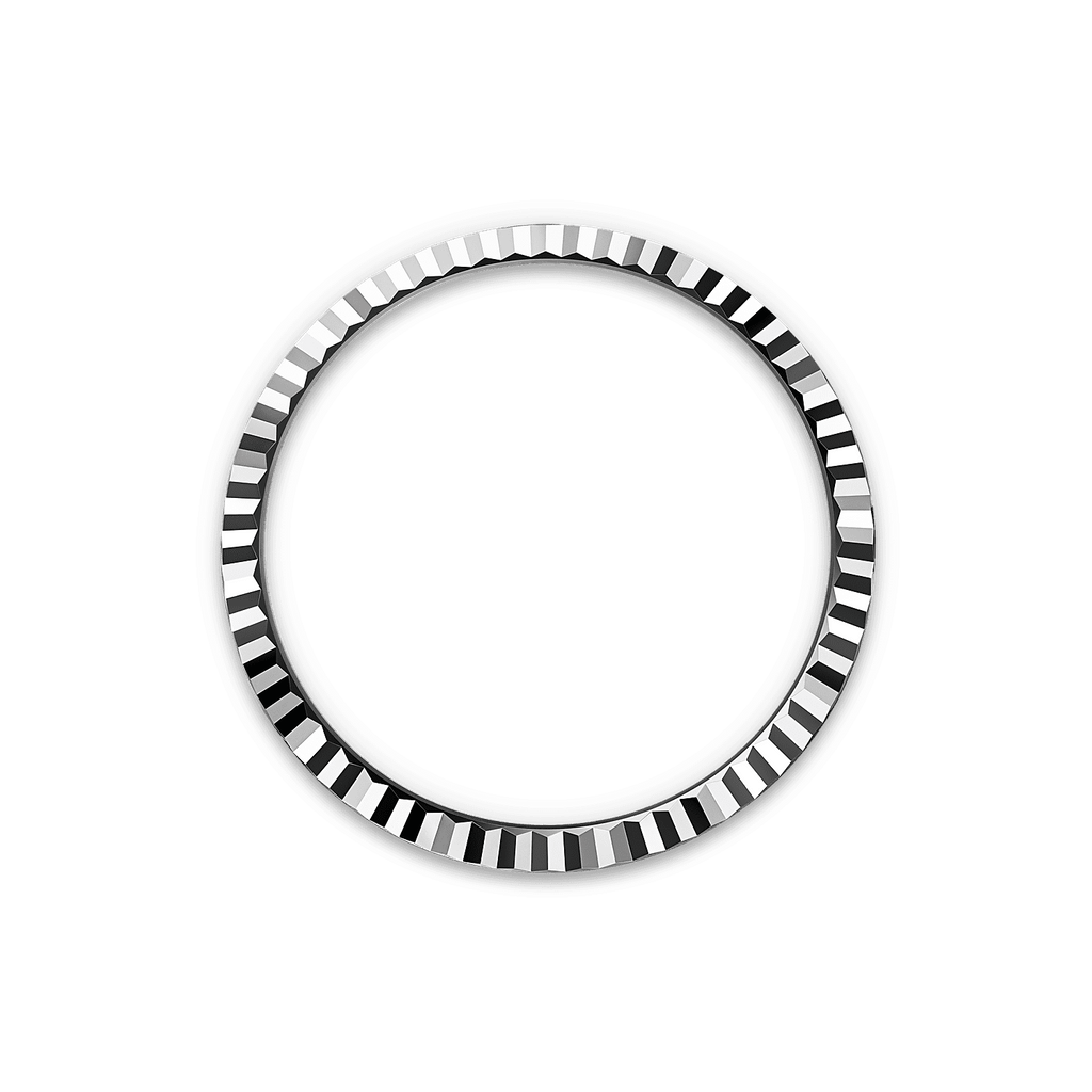 Land-Dweller 40mm Oystersteel & White Gold M127334-0001