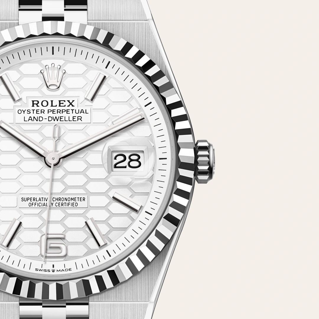 Land-Dweller 40mm Oystersteel & White Gold M127334-0001