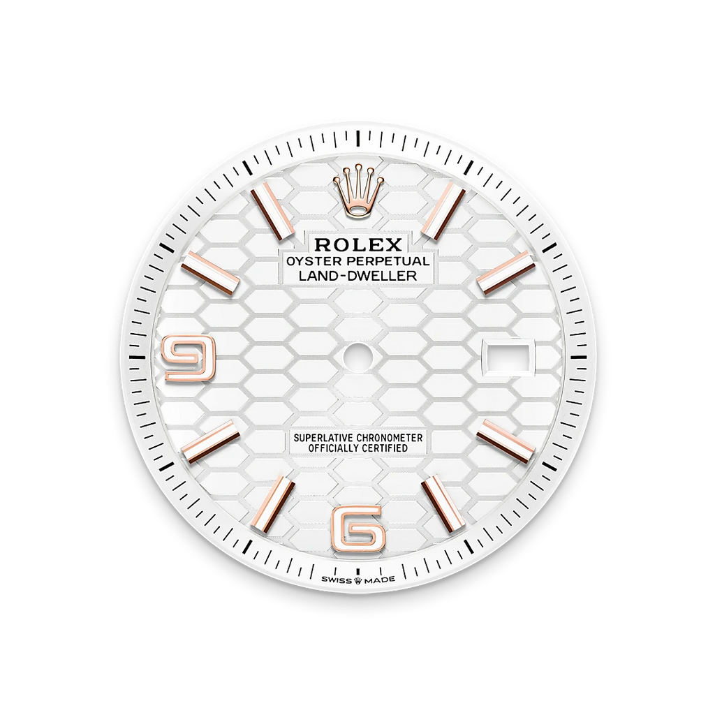 Land-Dweller 40mm Oyster Everose Gold M127335-0001