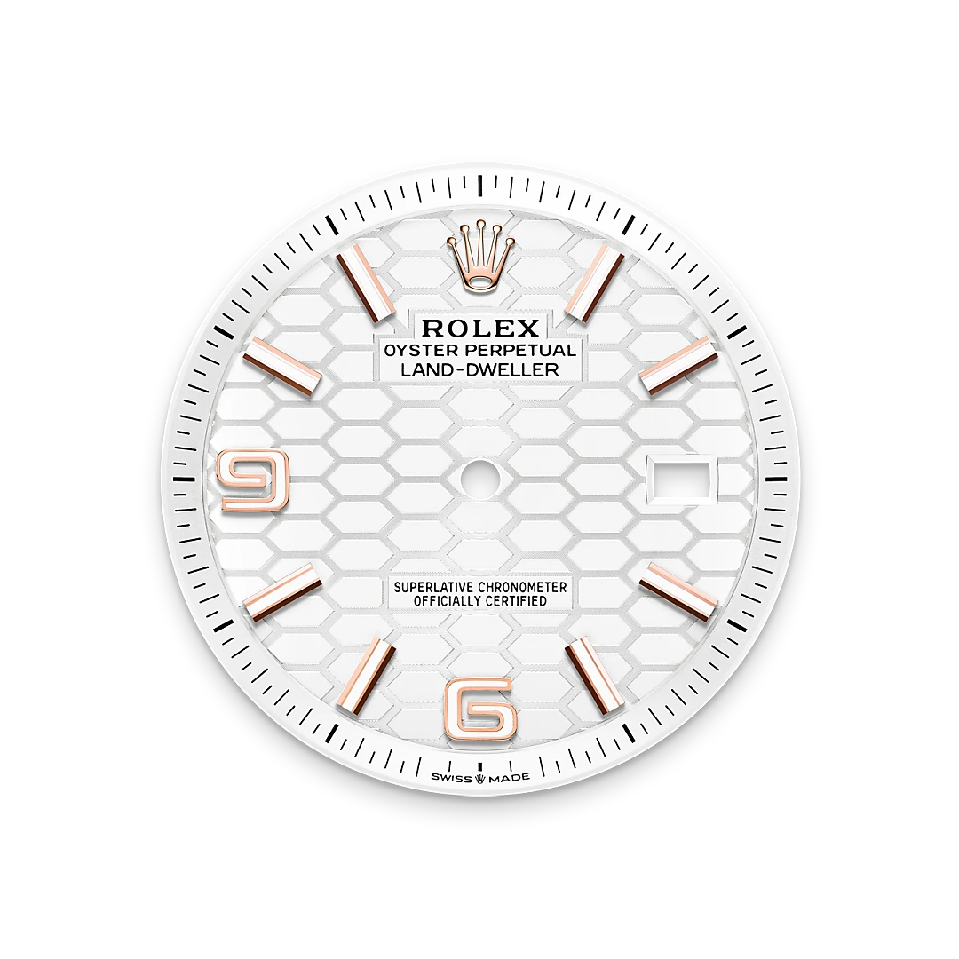 Land-Dweller 40mm Oyster Everose Gold M127335-0001