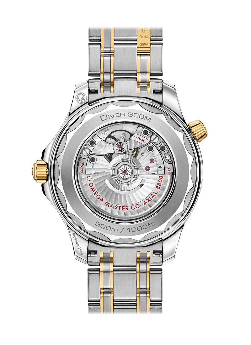 Seamaster DIVER 300M CO‑AXIAL MASTER CHRONOMETER Ref# 210.20.42.20.01.002